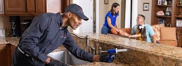 Best Pest Control for Multi-Family Homes  in Hoyt Lakes, MN